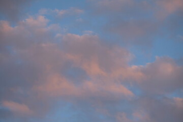 Fototapeta na wymiar FU 2020-06-28 Wiese 192 Am Himmel sind rosa Wolken