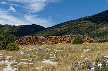 Wood Stack in south of France (French Riviera)
