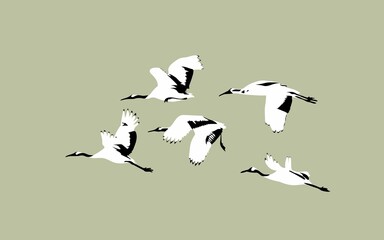 날아가는 한 무리의 새