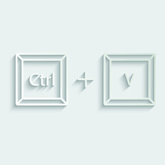 ctrl C, ctrl V icon vector