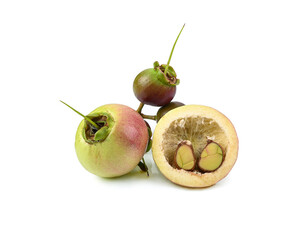 Syzygium jambos  on a white background