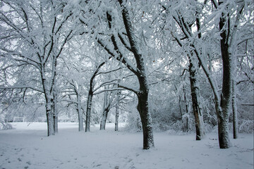 Winter view panorama of South Park in city of Sofia, Bulgaria