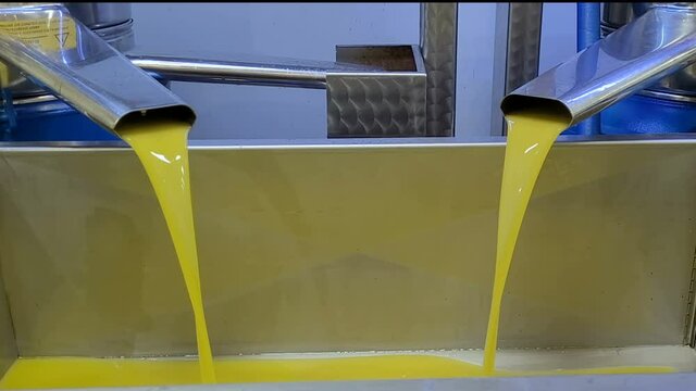 Olive oil milling machine working on cold press extraction in Italian extra virgin oil farm