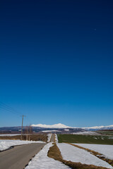 Fototapeta na wymiar 春の畑作地帯と雪山　大雪山 