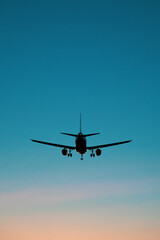 Fototapeta na wymiar landing airplane on the sunset sky