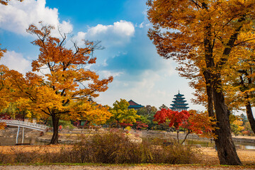 Obraz premium 경복궁의 가을