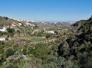 Fototapeta na wymiar Jardín Canario auf Gran Canaria