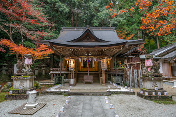 Fototapeta premium 等彌神社