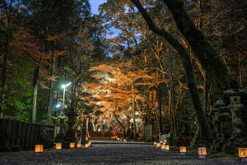 Fototapeta premium 等彌神社