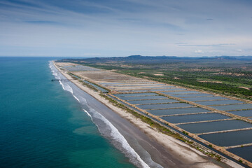 Breeding of Crayfish Punta Sal Grande Peru