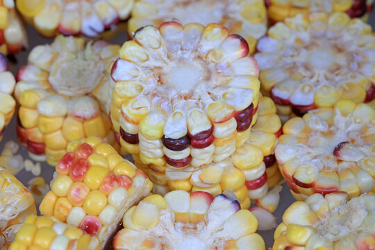 Chinese Traditional Food -- Corn Nuggets