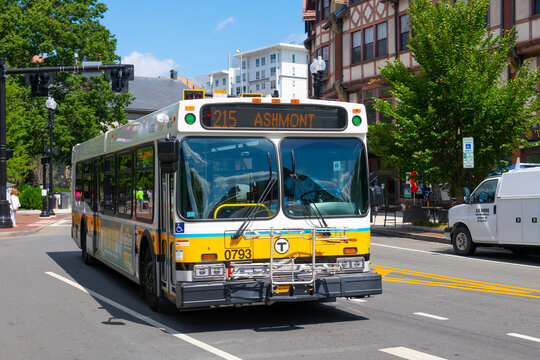 MBTA Bus Route 215 New Flyer D40LF Diesel bus on Hancock Street in Quincy city center, Massachusetts MA, USA. 