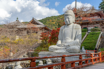 Fototapeta premium 壺阪寺