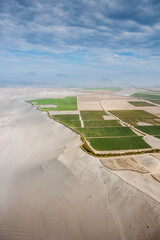 10 km South of Trujillo. Desert Farming. Peru