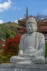 Obraz premium 壺阪寺