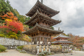 壺阪寺