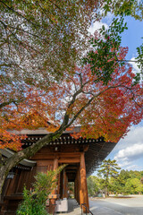 Fototapeta premium 橿原神宮 