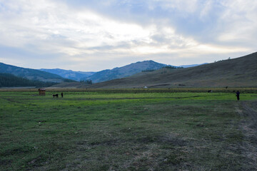 Fototapeta na wymiar Grassland and pasture scenery, Xinjiang, China