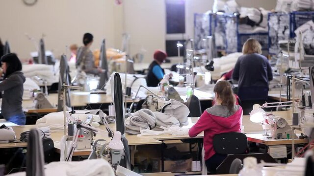 Working process at a garment factory.Many seamstresses work in a garment factory. Large sewing workshop. Seamstresses make products in a factory. Garment factory