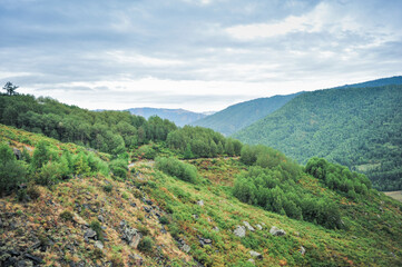 Naklejka premium Mountains, forests, natural scenery, under the background of cloudy weather. In Xinjiang, China.