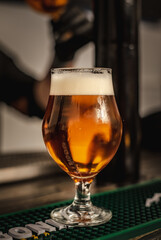 glass of beer