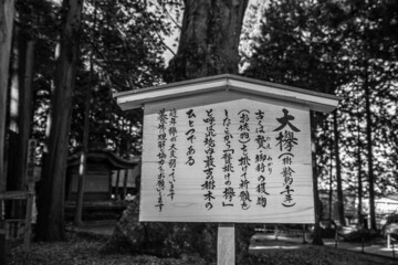 諏訪大社