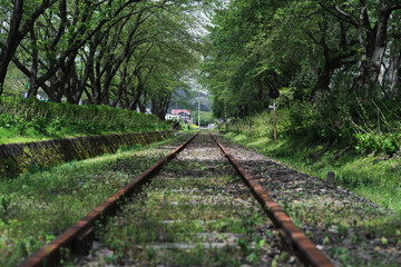 Fototapeta premium 廃線跡