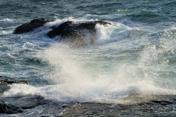 海の源と波の表情