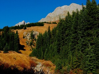 Mount Hood in Opal Range view at King Creek   OLYMPUS DIGITAL CAMERA