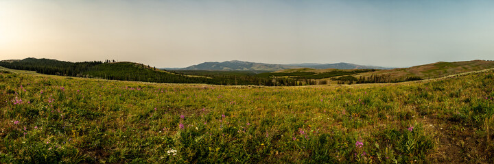 Panorama of Mt Washburn From Specimen Ridge