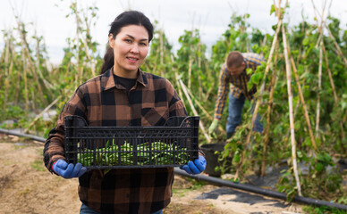 Smiling asian woman worker posing with plastic box during harvesting of beans in a garden