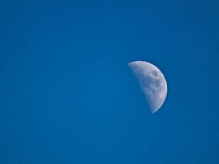 Księżyc na dziennym , błękitnym niebie - obrazy, fototapety, plakaty