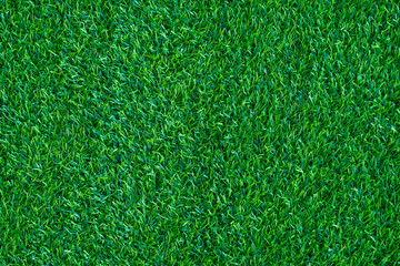 Fototapeta premium Green grass background, football field