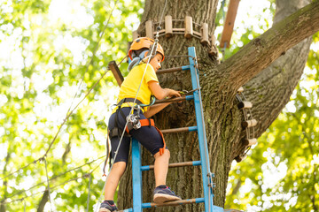 Happy child climbing in the trees. Rope park. Climber child. Early childhood development. Roping park. Balance beam and rope bridges. Rope park - climbing center