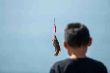A small boy stands near a wharf fishing when a small sculpin or codfish is retrieved and hangs from...