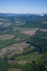 Looging Industry and Clearcuts in Washington USA