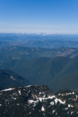 Lumber Forests Washington USA