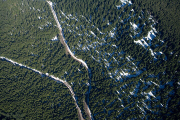 Mountain Road Washington USA