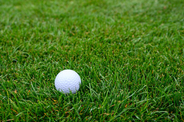 Lush green golf course grass in the rough, with a white golf ball ready to play
