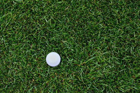 Lush green golf course grass in the rough, with a white golf ball ready to play
