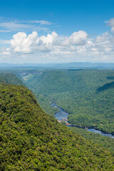 Jungles of Yaki Mountain and Potaro River Region Kaieteur National Park Guyana