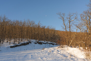 Snow covered road between mountain forest