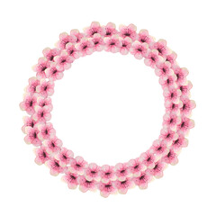 A wreath of spring pink sakura blossoms on a white isolated background. Watercolor illustration