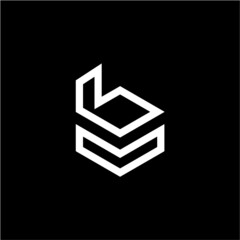 BV VB initials logo vector image