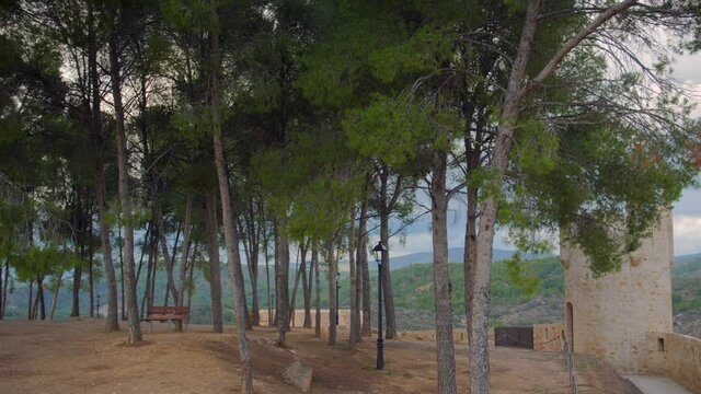 Lush Green Trees Outside The Castle Of Alcazar On The Hilltop In Segorbe Town, Spain. panning right, 4k