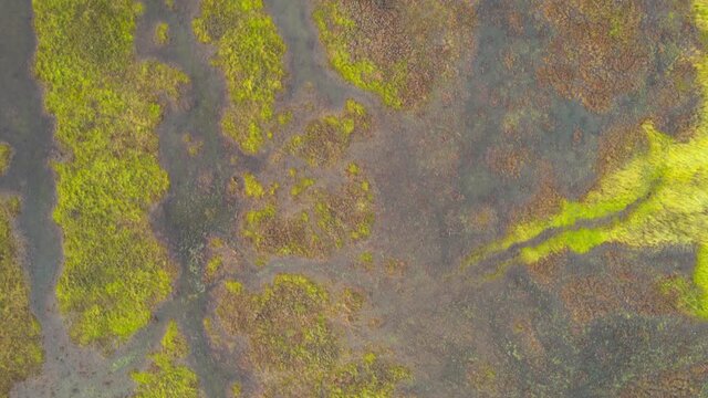 Top down view drone of texel wadden island natural reserve, drone fly above the green natural landscape in netherlands