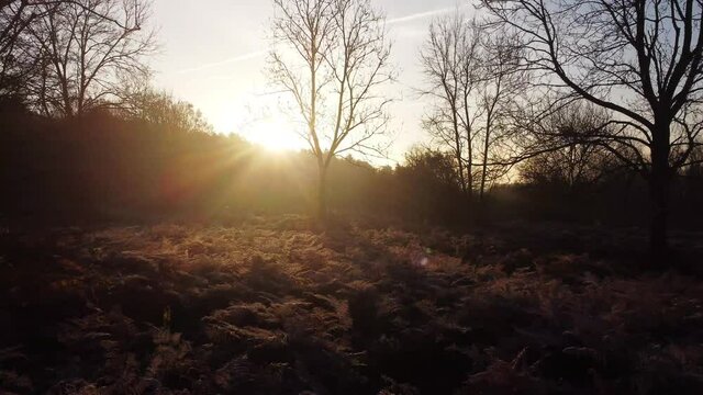 A winter sunrise with a hazy glow and light frost in the heart of Kent. The DJI Mini 2 living up to its purpose of capturing full detail and colour.