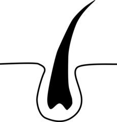 毛穴から生える毛のイメージ