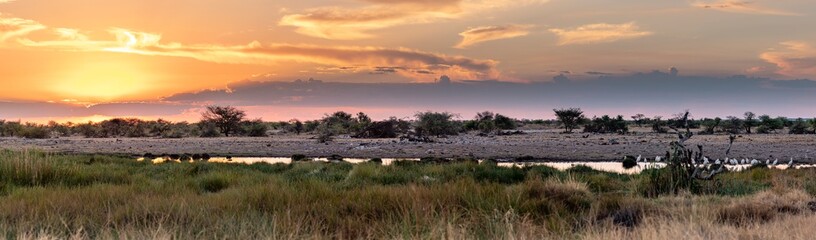 Panoramic Sunset over Namutoni camp waterhole, Etosha National park, Namibia
