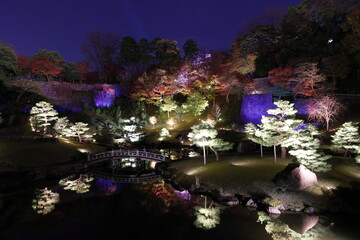 ライトアップされた日本の庭の風景